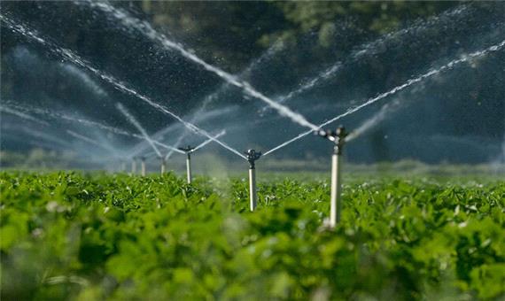 اجرای آبیاری تحت فشار در 700 هکتار از اراضی کشاورزی شادگان