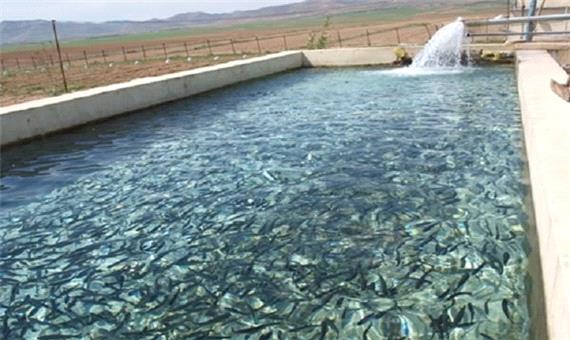 تخریب 75 هکتار حوضچه پرورش ماهی غیرمجاز در حوضه جراحی