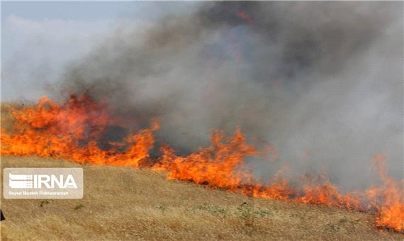 آتش باردیگر به جان مراتع و جنگلکاری‌های مسجدسلیمان افتاد