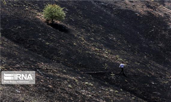 آتش‌سوزی در مراتع  و جنگلکاری‌های مسجدسلیمان مهار شد