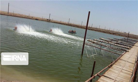 سهم 10درصدی خوزستان در صنعت آبزی‌پروری کشور