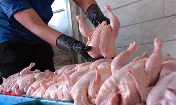 قیمت مرغ در صورت مدیریت فعالیت‌ها در بندرامام کاهش می‌یابد