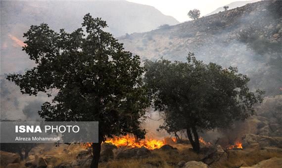 ادامه آتش‌سوزی در جنگل‌های اندیکا / 2 مصدوم در عملیات اطفای حریق