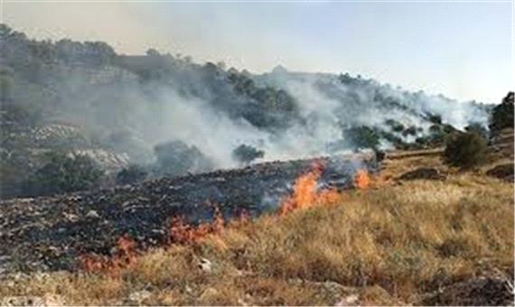 ادامه آتش‌سوزی در جنگل‌های اندیکا؛ 2 مصدوم در عملیات اطفای حریق