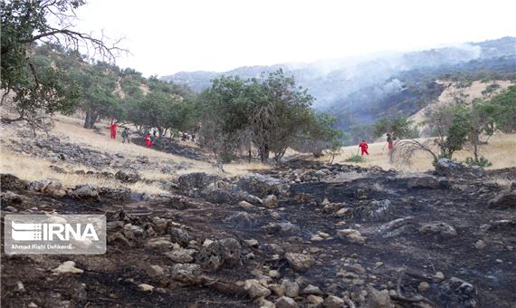 70 هکتار از مراتع منطقه حفاظت شده شیمبار اندیکا خاکستر شد