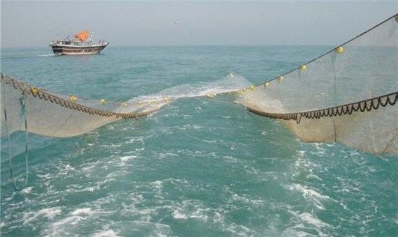 ممنوعیت صید ماهی شیر با روش گوشگیر در صیدگاه‌های شمال غرب خلیج‌فارس