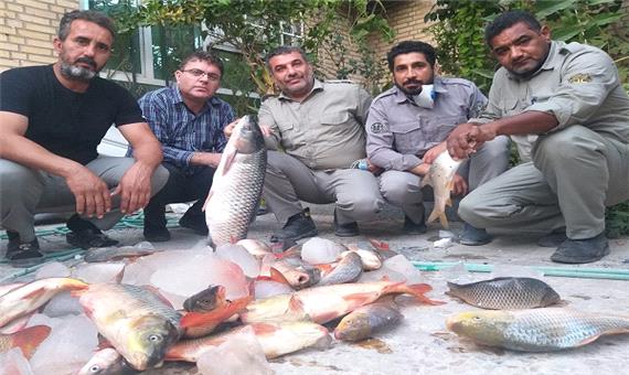 دستگیری 4 متخلف صید غیرمجاز ماهی در خوزستان