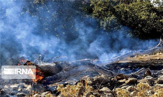 جلوگیری از ادامه آتش در جنگل‌های بلوط دزفول