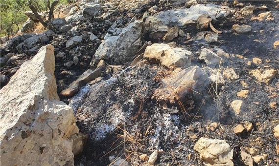 حکم تعقیب عوامل آتش‌سوزی جنگل در دزفول صادر شد