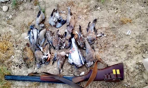 دستگیری شکارچیان 16 قطعه پرنده در شوشتر