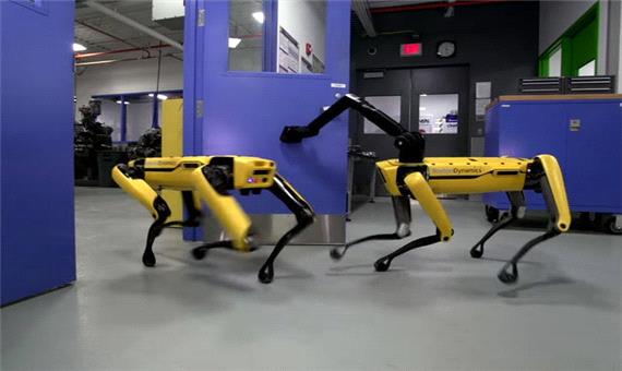 گشت‌زنی سگ رباتیک "بوستون دینامیکس" در خیابانهای کانادا