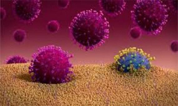 روند افزایشی ویروس کرونا در جنوب غرب خوزستان