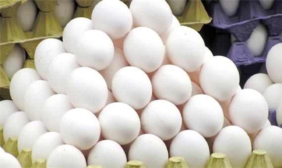 تولید بیش از 2 هزار تخم مرغ در رامهرمز
