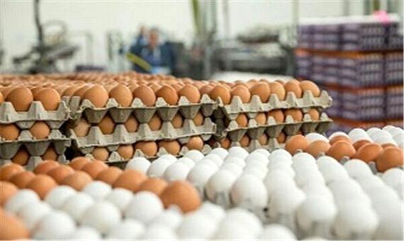 عرضه تخم مرغ با قیمت شانه‌ای 34هزار تومان