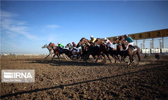 مسابقات کورس اسب کشوری در اهواز برگزار شد