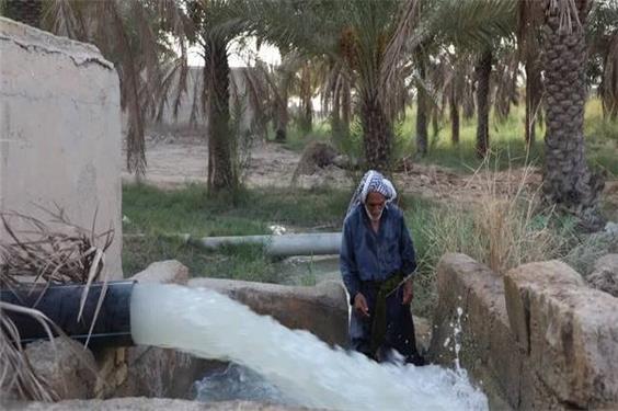 با دستور استاندار خوزستان، آب به نخلستان‌های شادگان رسید