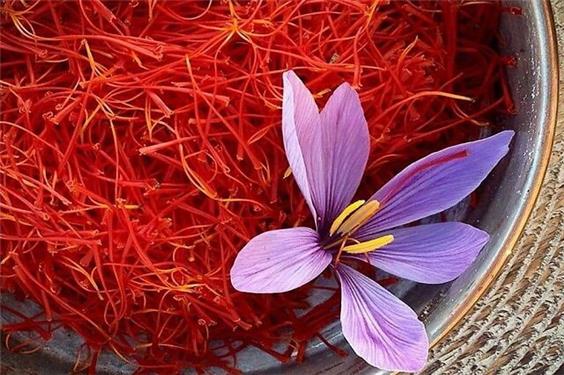 زعفران، امیدوارکننده‌ترین ترکیب طبیعی برای کاهش سرعت پیری