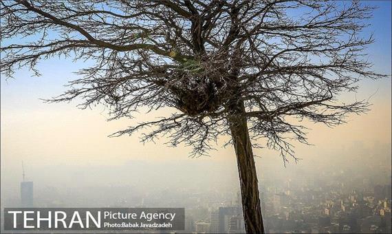 تغییر شاخص‌ها یکی از دلایل افزایش روزهای آلوده امسال در تهران است