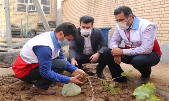 درختکاری با شعار هوای پاک در دانشگاه پیام نور اندیمشک