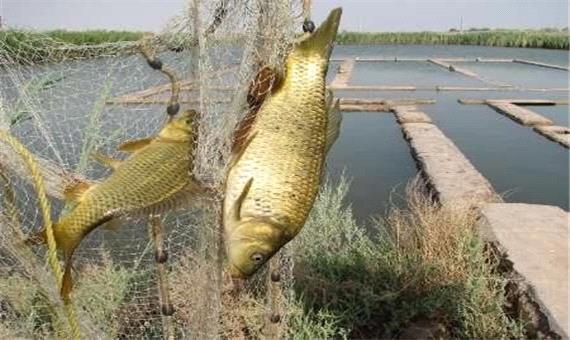 صید ماهی در خوزستان ممنوع شد
