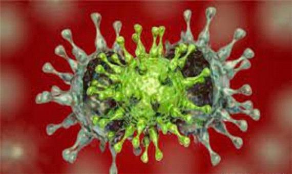 روند افزایشی ویروس کرونا در جنوب غرب خوزستان/ فوت 2 بیمار کرونایی در خرمشهر