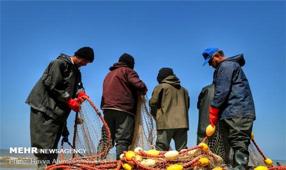 صید ماهی شوریده در صیدگاه‌های خوزستان و بوشهر آزاد شد