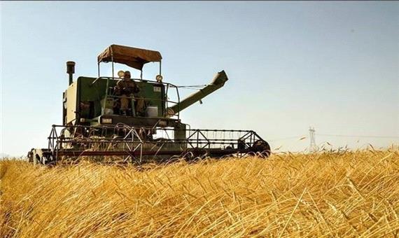 پیش بینی برداشت 180 هزار تن گندم از مزارع شوش
