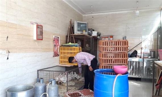 پلمب 14 واحد عرضه‌کننده و کشتار غیرمجاز مرغ زنده در اهواز