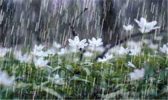 بارش 15 میلی‌متری باران در آبادان