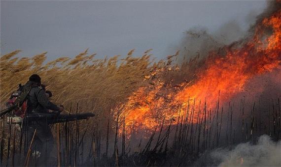3 هزار هکتار از تالاب هورالعظیم در آتش سوخت/آماده باش حفاظت محیط زیست