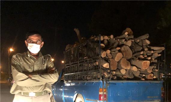 دستگیری عاملان قطع اشجار جنگلی در دزفول