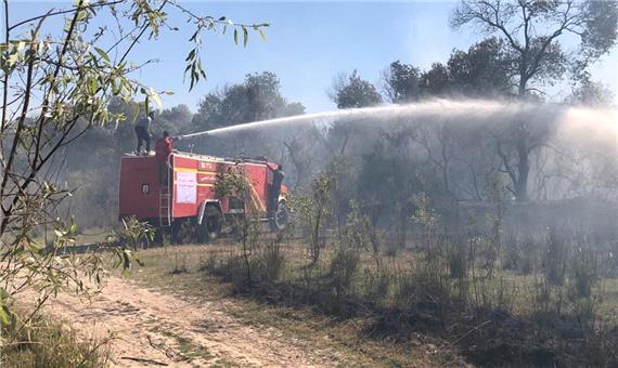 فرماندار: 10 هکتار از جنگل‌های حمیدیه در آتش سوخت
