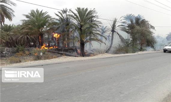 مصدومیت یک آتش‌نشان در آتش‌سوزی نیزارهای خرمشهر