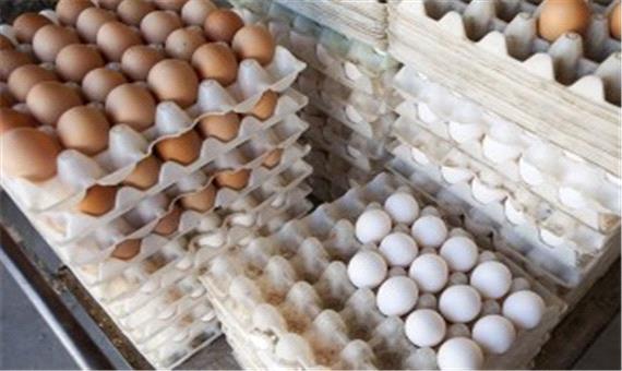 صادرات تخم‌ مرغ متوقف شد