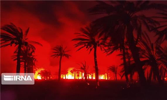 800 نخل مثمر در اروندکنار در آتش سوخت