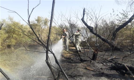 معرفی متهمان آتش‌سوزی پارک‌های ملی کرخه و دز به دادگاه