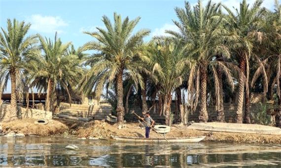 خوزستان، پیشانی کشاورزی کشور است