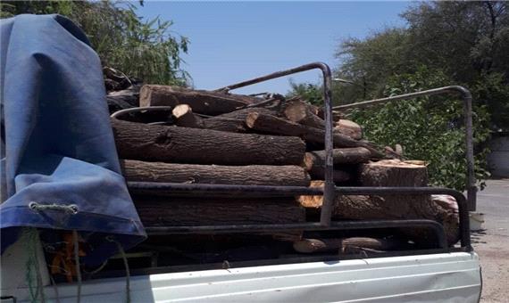 قاچاقچیان درختان جنگلی در دزفول دستگیر شدند