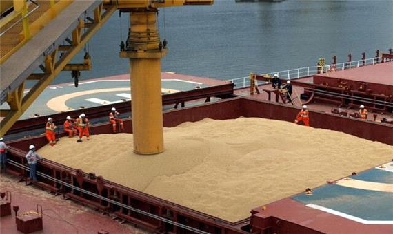 واردات 736 هزار تن گندم از بندر امام به کشور