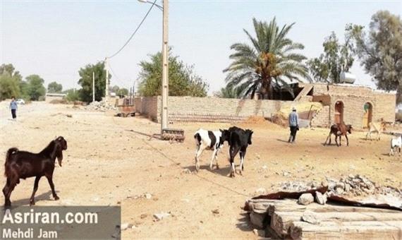 ادامه تنش آبی در روستاهای حمیدیه خوزستان