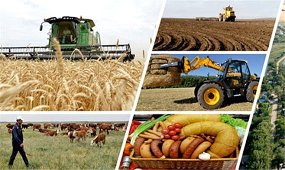 طبق قانون بانک صادرات از بخش کشاورزی حمایت کند