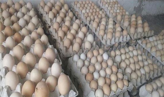 پاسخ مسئولان به افزایش قیمت تخم‌مرغ؛ تقصیر دلال‌هاست!