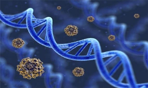 شناسایی ژن عامل مقاومت بدن در برابر داروی سرطان