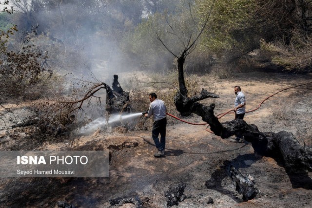 مهار آتش سوزی جنگل کرخه در شوش
