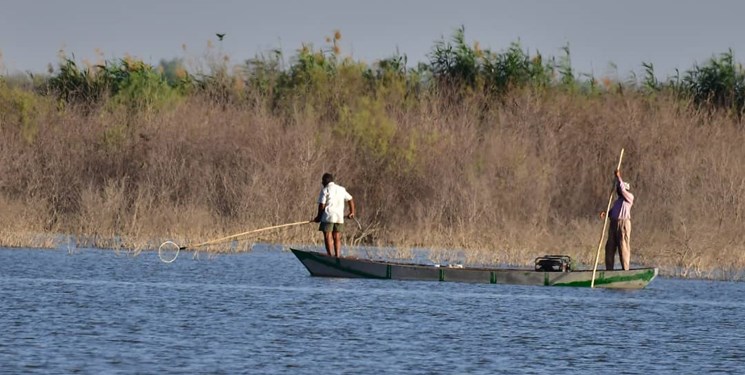 «هورالعظیم»، در محاصره صیادان برقی