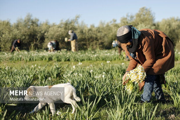 پیام خوزستان