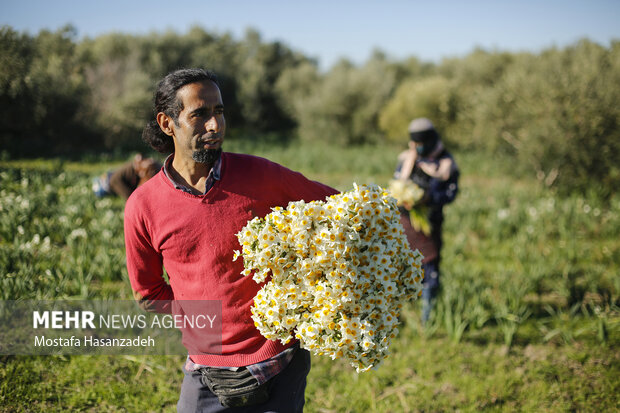 پیام خوزستان
