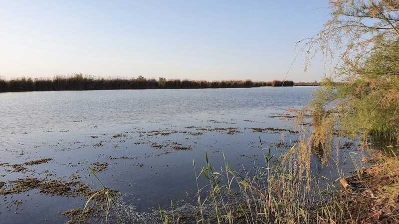 اجرای پروژه افزایش دامنه آبگیری و احیای تالاب بامدژ در اهواز