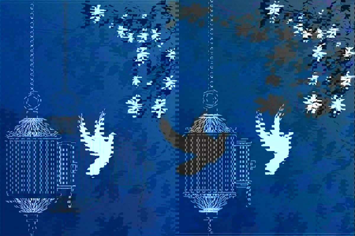 ۵۰ نفر از محکومان جرایم غیرعمد مالی در خوزستان آزاد شدند