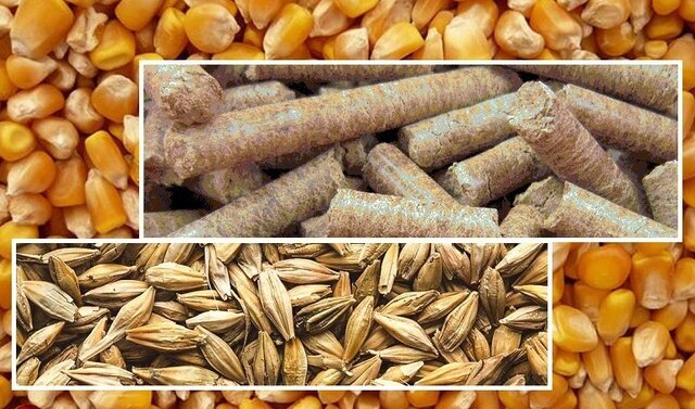 پیام خوزستان